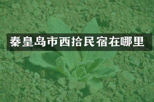 秦皇岛市西拾民宿在哪里