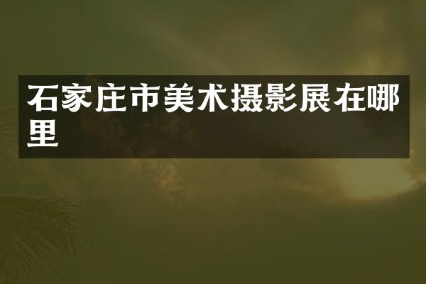 石家庄市美术摄影展在哪里