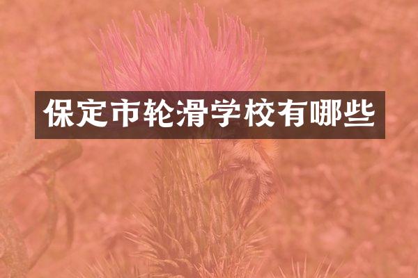 保定市轮滑学校有哪些