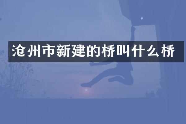 沧州市新建的桥叫什么桥