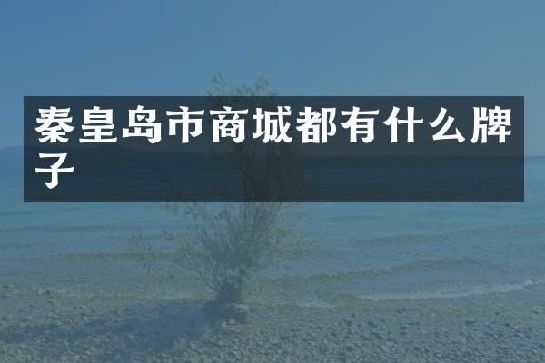 秦皇岛市商城都有什么牌子