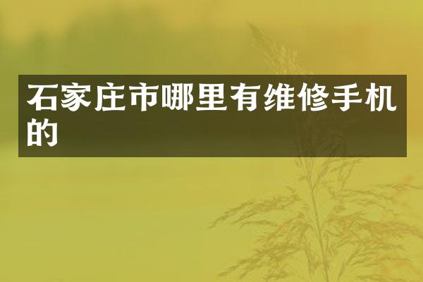 石家庄市哪里有维修手机的