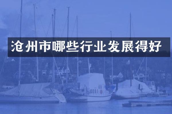 沧州市哪些行业发展得好