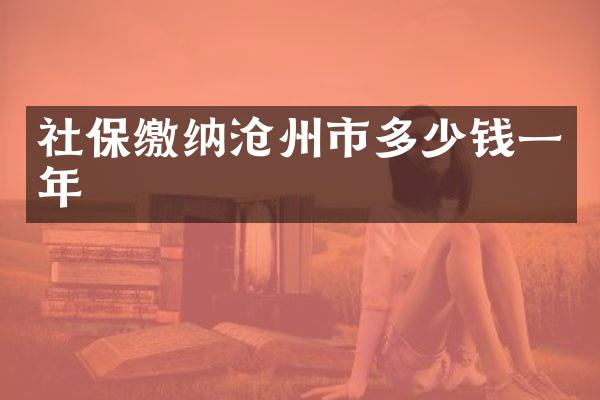 社保缴纳沧州市多少钱一年