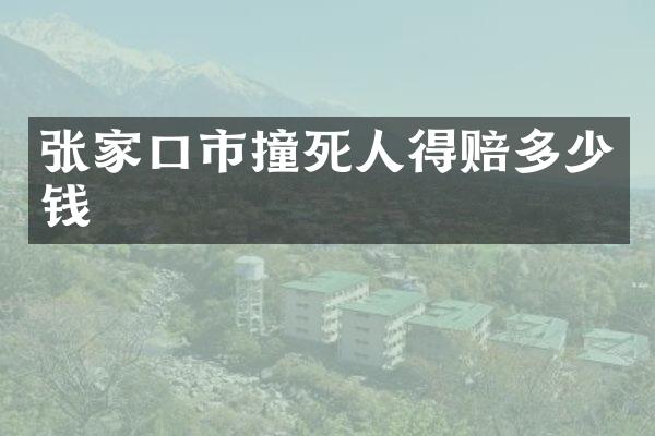 张家口市撞死人得赔多少钱