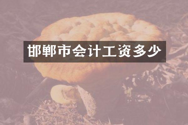 邯郸市会计工资多少