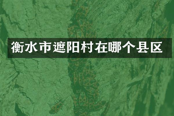 衡水市遮阳村在哪个县区