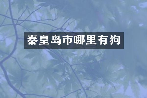 秦皇岛市哪里有狗