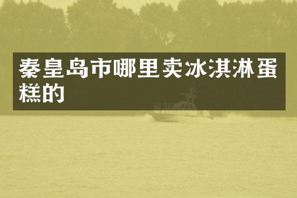 秦皇岛市哪里卖冰淇淋蛋糕的