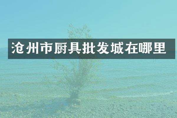 沧州市厨具批发城在哪里