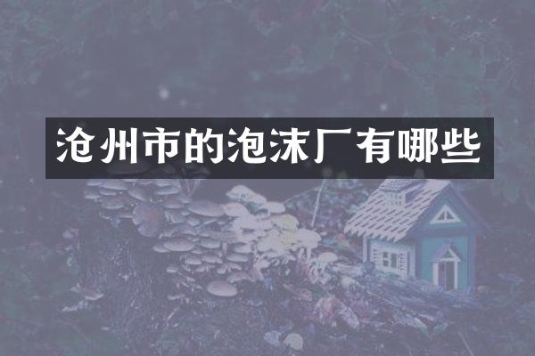 沧州市的泡沫厂有哪些