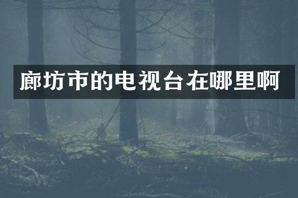 廊坊市的电视台在哪里啊