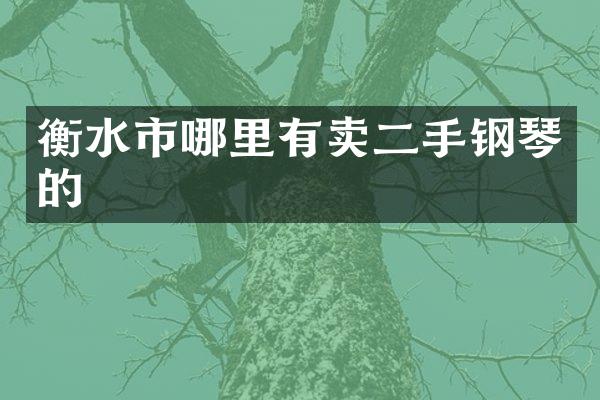 衡水市哪里有卖二手钢琴的