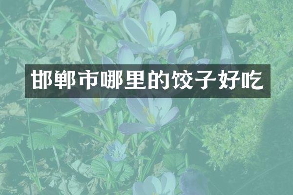 邯郸市哪里的饺子好吃