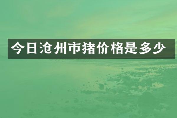 今日沧州市猪价格是多少