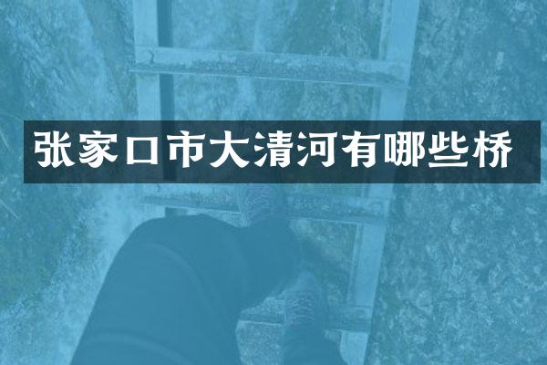 张家口市大清河有哪些桥