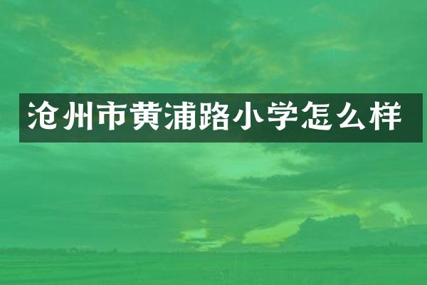 沧州市黄浦路小学怎么样