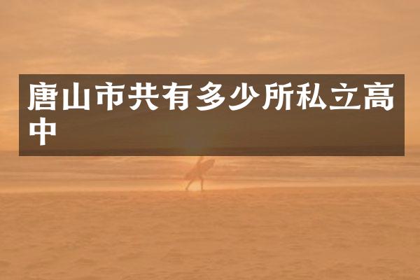 唐山市共有多少所私立高中