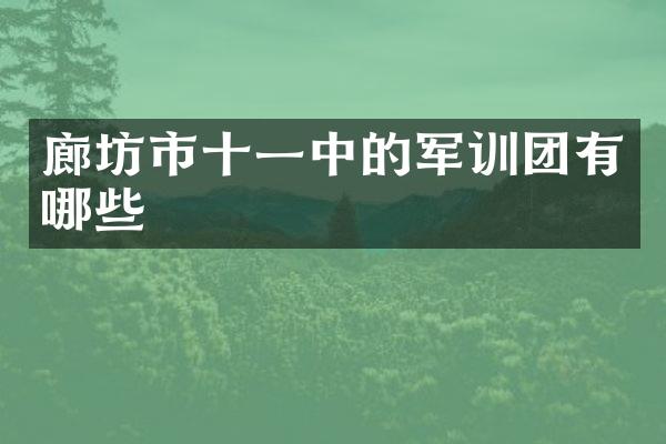 廊坊市十一中的军训团有哪些