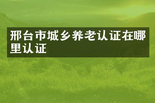 邢台市城乡养老认证在哪里认证