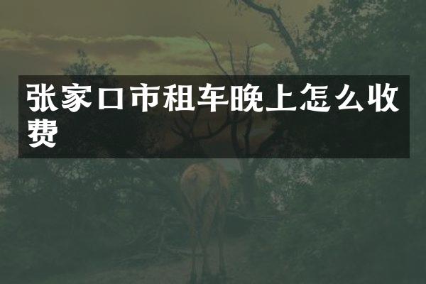 张家口市租车晚上怎么收费