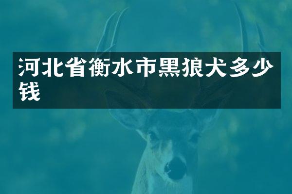 河北省衡水市黑狼犬多少钱