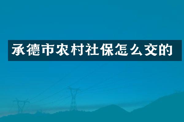 承德市农村社保怎么交的