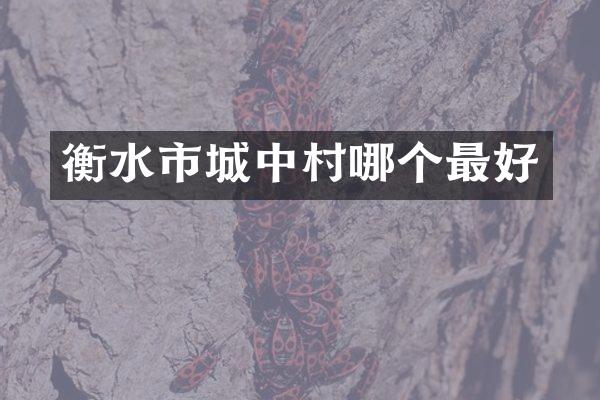 衡水市城中村哪个最好