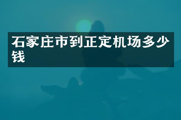 石家庄市到正定机场多少钱