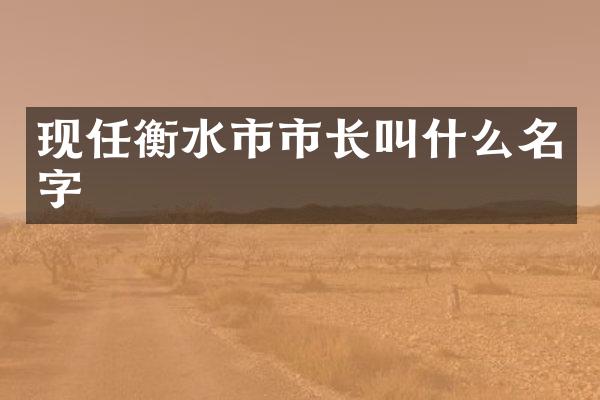 现任衡水市市长叫什么名字