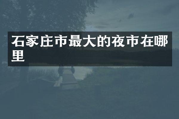 石家庄市最大的夜市在哪里