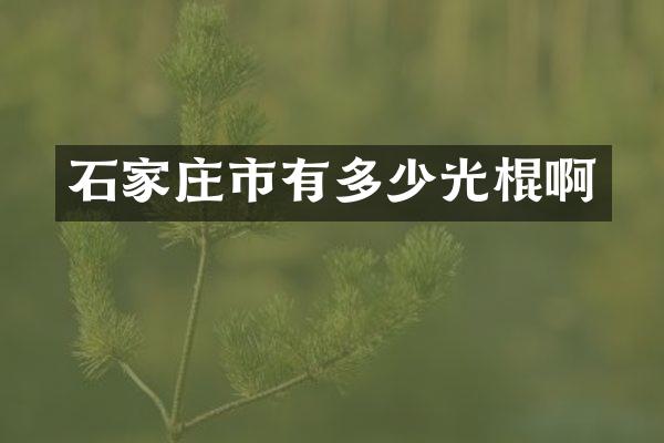 石家庄市有多少光棍啊
