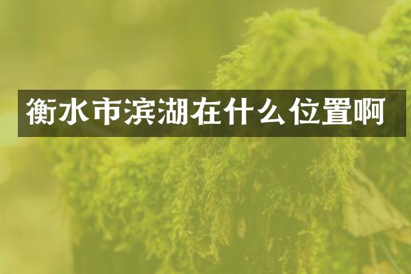 衡水市滨湖在什么位置啊