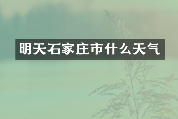 明天石家庄市什么天气