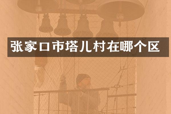 张家口市塔儿村在哪个区