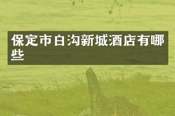 保定市白沟新城酒店有哪些