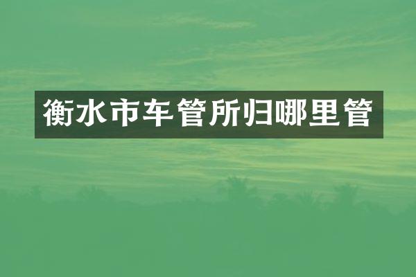 衡水市车管所归哪里管