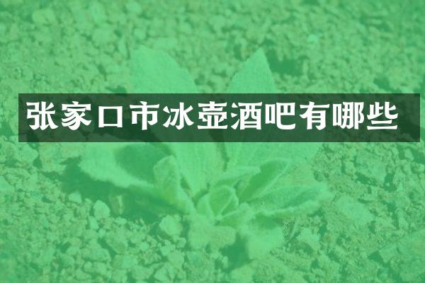 张家口市冰壶酒吧有哪些