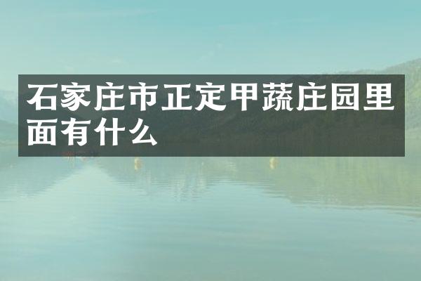 石家庄市正定甲蔬庄园里面有什么