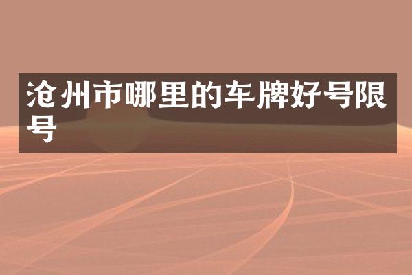 沧州市哪里的车牌好号限号