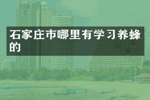石家庄市哪里有学习养蜂的