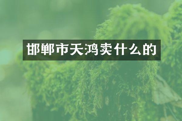 邯郸市天鸿卖什么的