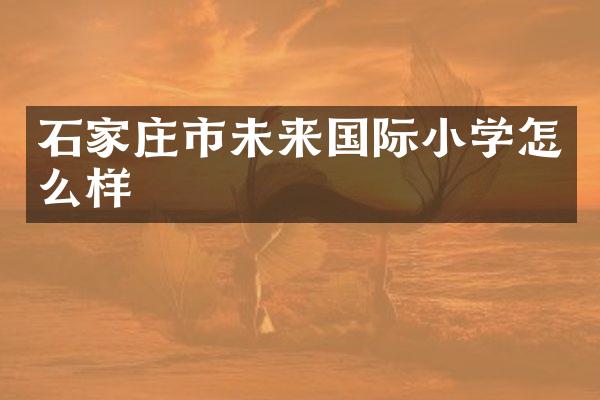 石家庄市未来国际小学怎么样