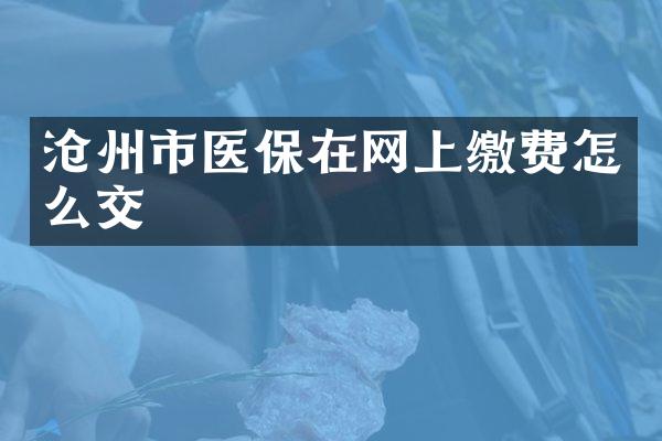 沧州市医保在网上缴费怎么交