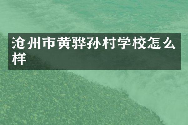 沧州市黄骅孙村学校怎么样
