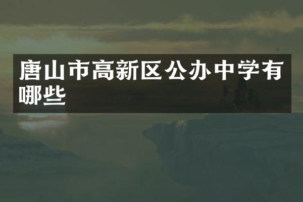 唐山市高新区公办中学有哪些