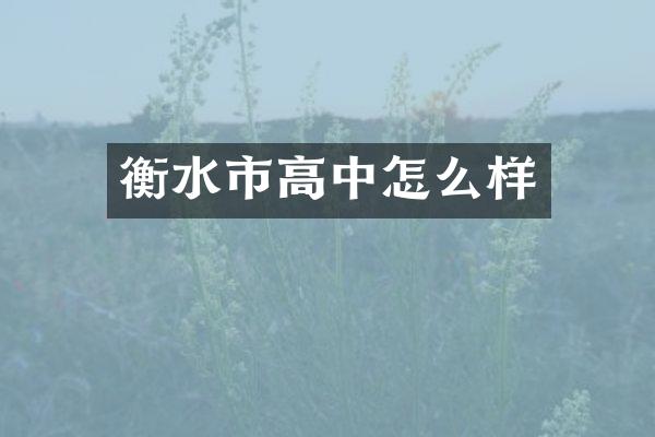 衡水市高中怎么样
