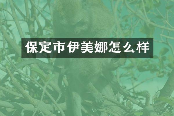 保定市伊美娜怎么样
