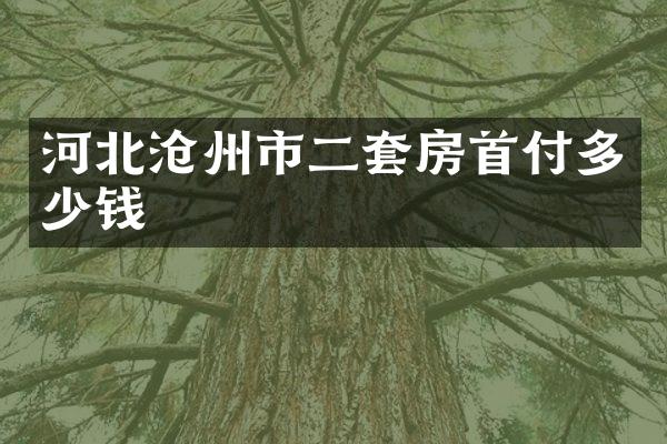 河北沧州市二套房首付多少钱