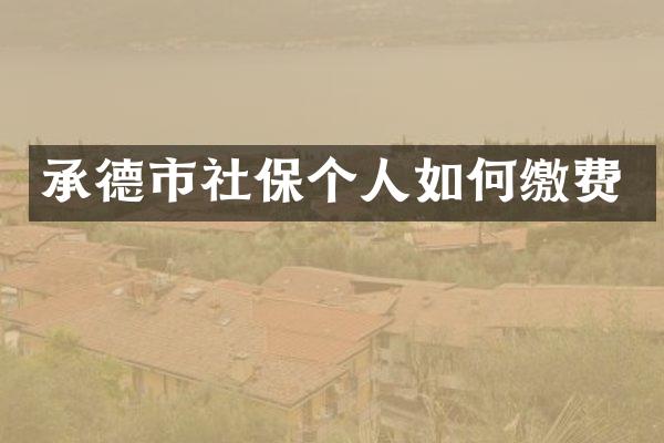 承德市社保个人如何缴费